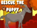 Spel Red de puppy online