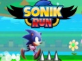 Spel Sonik Rennen online