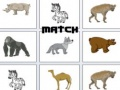 Spel Wedstrijd online