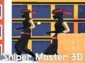 Spel Sniper Master 3D online