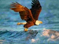 Spel Dieren Legpuzzel Arend online