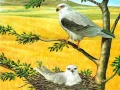 Spel Valkuils Puzzel online