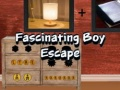 Spel Fascinerende Jongensontsnapping online