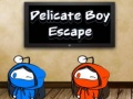 Spel Ontsnapping van de Delicate Jongeman online