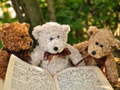 Spel Knuffelige Drie Teddy Puzzel online