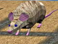 Spel Muisrace Eilanden online