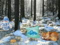 Spel Winterwonderland Bosavontuur online