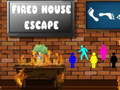 Spel Ontsnapping uit Brandende Huis online