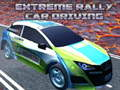 Spel Extreme Rally Auto Besturing online