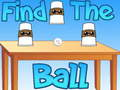 Spel Vind de bal online