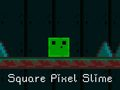 Spel Vierkante Pixel Slijm online