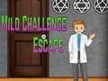 Spel Amgel Mild Challenge Escape online