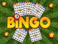 Spel Bingo Onthuld online