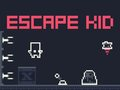 Spel Ontsnap Kid online
