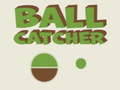 Spel Ballenvanger online
