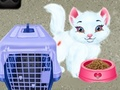 Spel Baby Taylor: Huisdierverzorging online