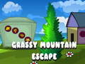 Spel Ontsnapping van de Grasberg online