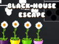 Spel Zwart Huis Ontsnapping online