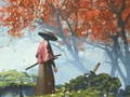 Spel Samurai Reflectie online