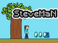 Spel Steveman online