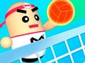 Spel 3D Verbazingwekkende Volleybal online