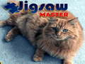 Spel Puzzelmeester online