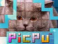 Spel PicPu Kat online