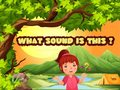 Spel Wat is dit voor geluid? online