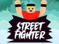 Spel Straatvechter online