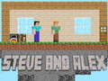 Spel Steve en Alex online