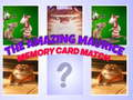 Spel De Verbazingwekkende Maurice Kaartmatch online