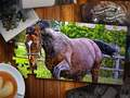 Spel Jigsaw Puzzle Paarden Editie online