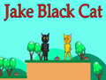 Spel Jake Zwarte Kat online