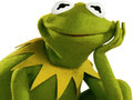 Spel Kleurboek Voor Kermit de Kikker online