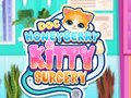 Spel Dokter HoneyBerry Kattenchirurgie online