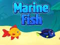 Spel Zeevis online