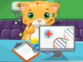 Spel Kat Dokter online