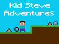 Spel De Avonturen van Kid Steve online