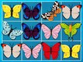 Spel Koning van Mahjong online