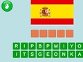 Spel Raad de Vlag online