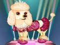 Spel Mijn schattige hond Daisy online