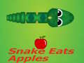 Spel De slang eet de appel online