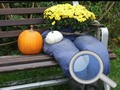 Spel Herfsttuin: Vind 100 Vlinders online