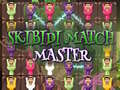 Spel Skibidi Match Meester online