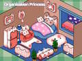 Spel Organisatie Prinses online