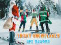 Spel Verborgen sneeuwvlokken in het skiresort online