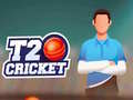 Spel T20 Cricket online