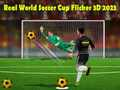 Spel Echte Wereldvoetbalbeker Flicker 3D 2023 online