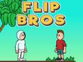 Spel Flip Broers online