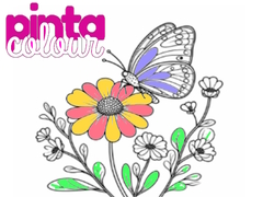 Spel Pinta Kleur online